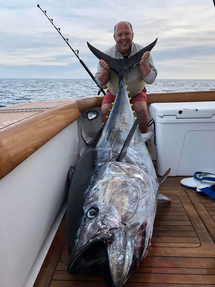 Charters - Giant tuna